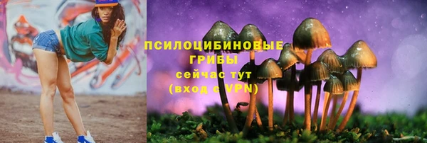 apvp Елизово