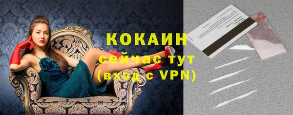 круглые Ельня