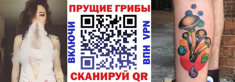 Галлюциногенные грибы Psilocybe  Ермолино 
